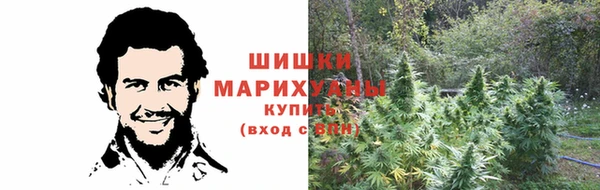 мдпв Бородино