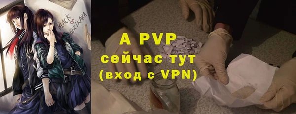 мдпв Бородино
