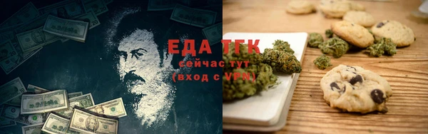 мдпв Бородино