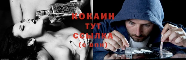 мдпв Бородино