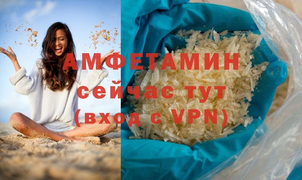 мдпв Бородино