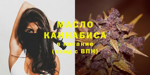 мдпв Бородино