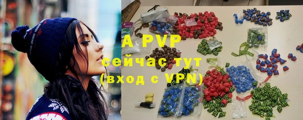 мдпв Бородино