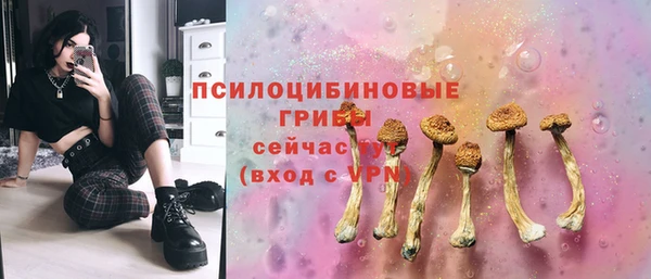 мдпв Бородино